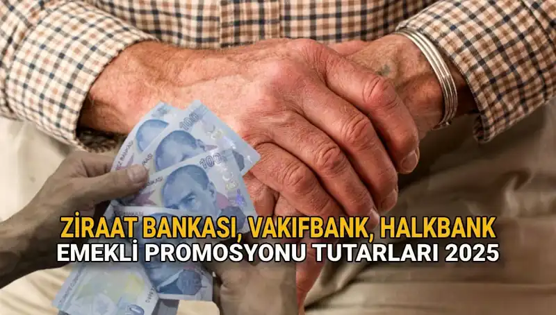 2025'te Kamu Bankalarında Emekli Promosyonları: Ziraat, Vakıfbank ve Halkbank'ın Teklifleri