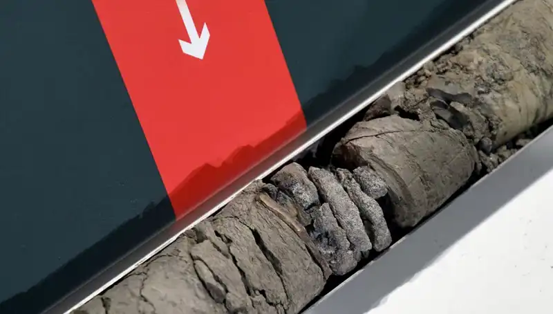 Otoparkın Altında Dinozor Fosili Bulundu: Tarihe Işık Tutacak Keşif