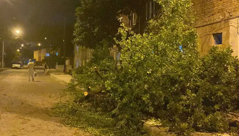 Karabük’te Fırtına Hayatı Felç Etti: Son Durum Nedir?