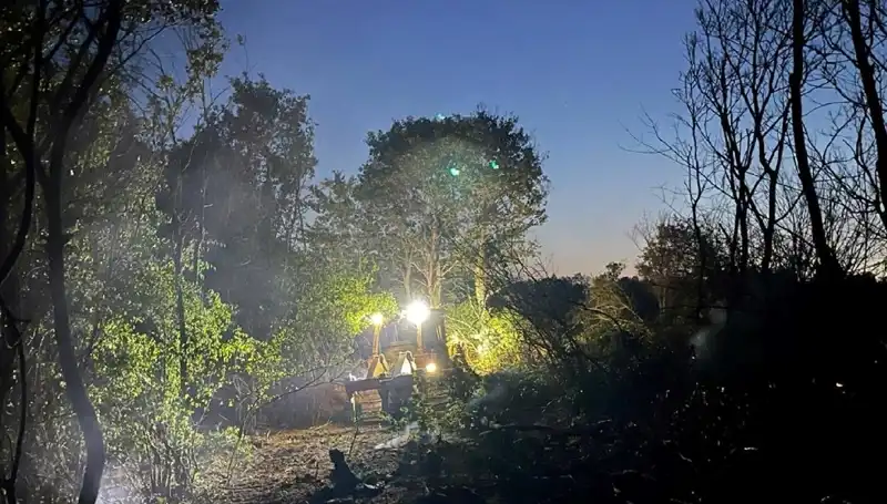 Edirne'de Yangın Felaketi: Orman Alanları Kurtarıldı!