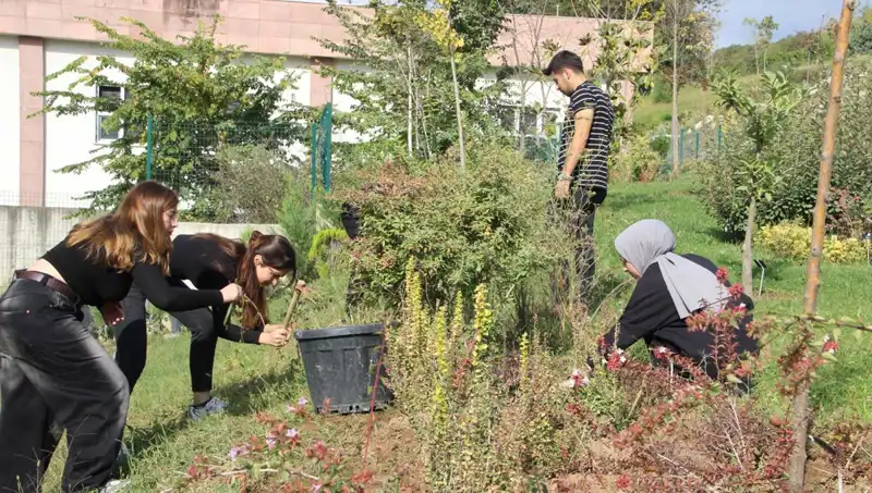 Düzce’nin Yıldızı: Hayallerden Gerçeklere Uzanan Başarı Hikayesi
