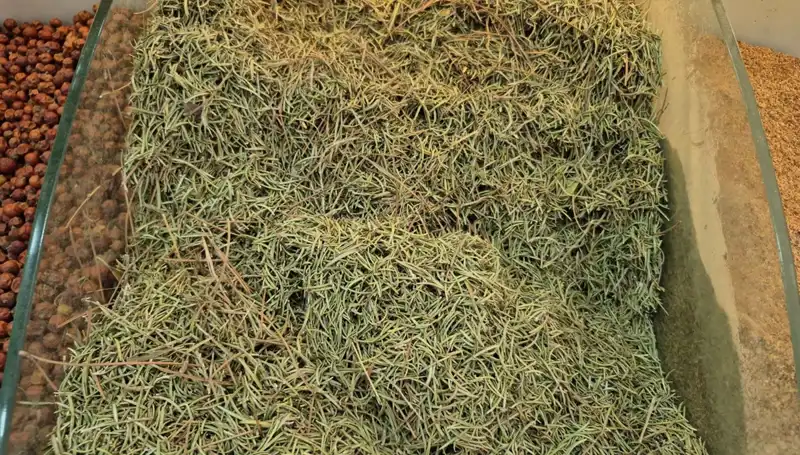 Yaz Aylarında İnternette Satışı Artan Tehlikeli Ürünler: Ölüm Riski Var!