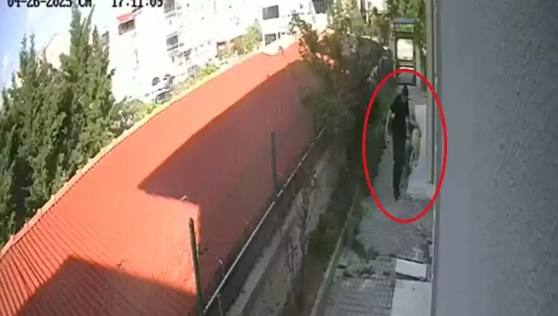 Veteriner Doktorun Şok Edici Köpek Katliamı: Tutuklandı!