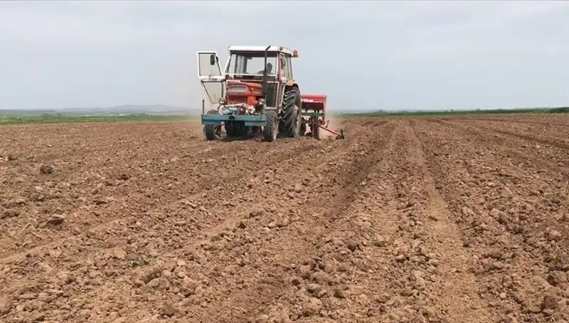 Son 35 Yılın En Kurak Mart'ı: Yağış Miktarı Neden Azaldı?