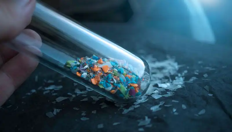 Mikroplastiklerin Beyne Sızması: Sağlığımıza Etkileri Neler Olacak?