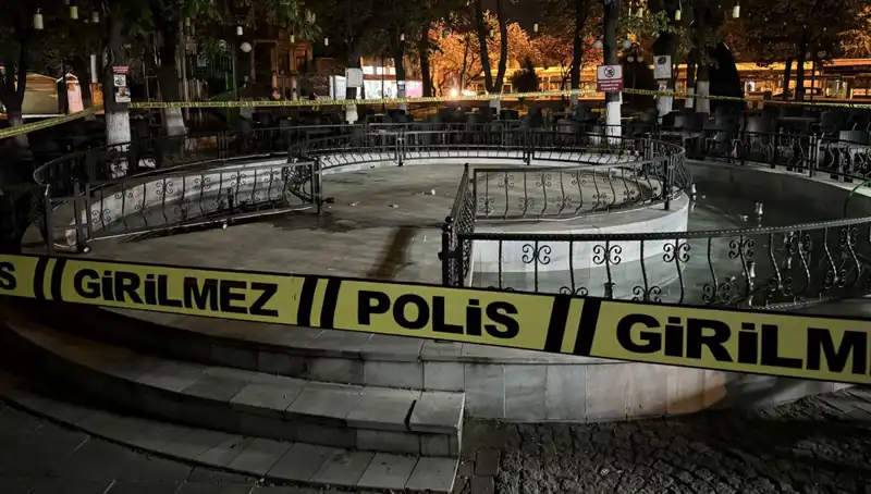 Kırklareli'nde Süs Havuzu Faciası: Dört Kişi Hastaneye Kaldırıldı