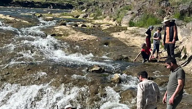 İnci Kefali Göçü: Doğa Harikası Özellikle Turistlerin Dikkatini Çekiyor