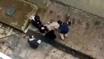 Kampüste Yaşanan Köpek Paniği: 4 Metreden Betona Düşen Genç