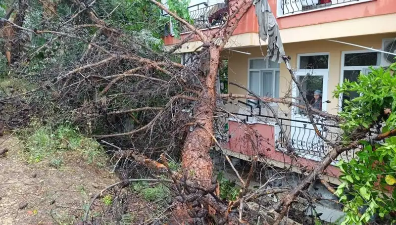 Yağmuru Sona Erdirecek Şok Olay: Bina Çöktü, Şans Elde Edildi!