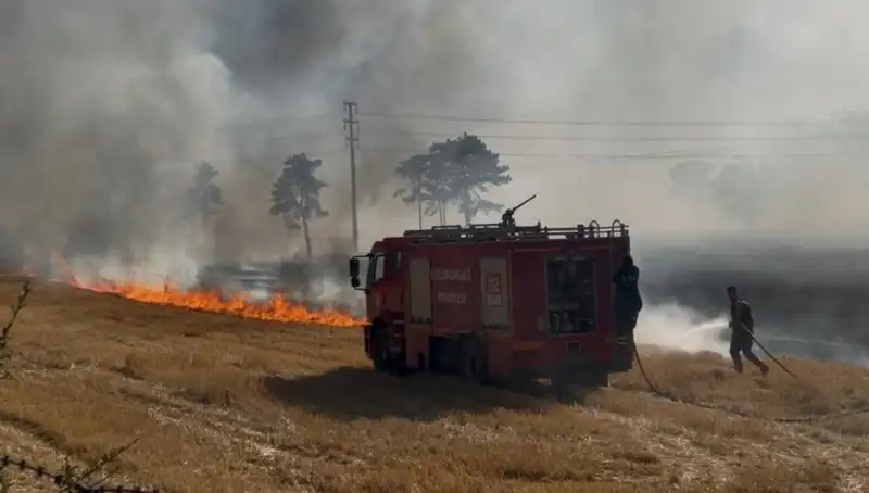Kırklareli'nde Anız Yangını Panik Yaratmıştı, İşte Son Gelişmeler