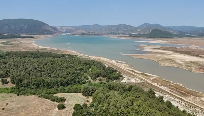 İzmir'de Tehlike Çanları: Geçen Yıla Göre Yüzde 50 Düşüş Nedenleri