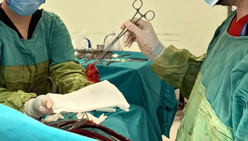 Kalp Kapağı Çürüyen Hastaya 7 Saatlik Ameliyat: Doktorların Mucizevi Başarısı