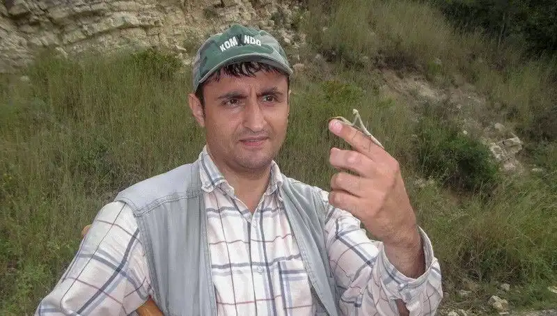 Yeni Bir Böcek Türü Keşfedildi: Bilim İnsanı Eşinin İsmini Verdi!
