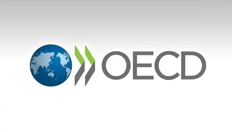 OECD, Türkiye’nin Ekonomik Büyüme Tahminlerini Yeniden Değerlendirdi