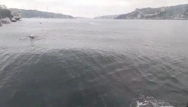 İstanbul Boğazı'nda Yükselen Dalgalar: Doğa ile Büyüleyici Bir Gösteri