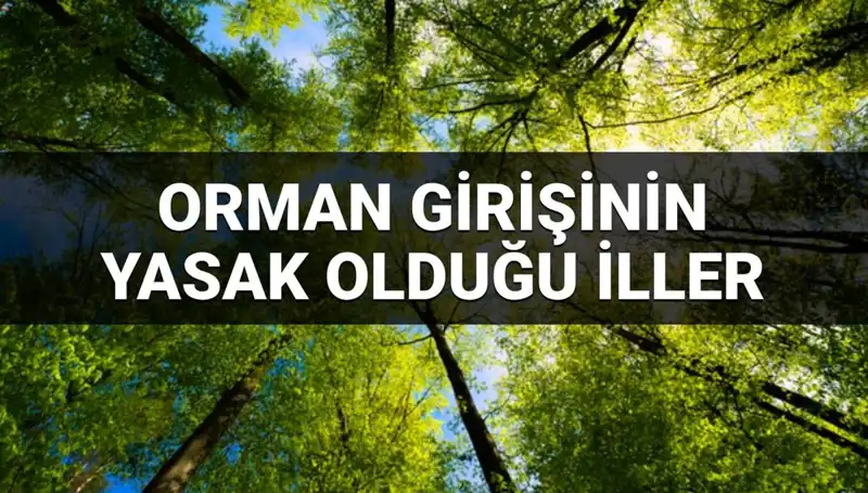 Türkiye'de 2025'te Ormana Girmek Yasaklanan İller Hangileri?