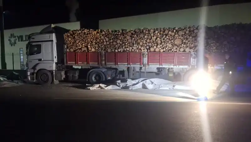 TIR Sürücüsü Brandayı Toplarken Otomobil Çarpınca Feci Kaza!