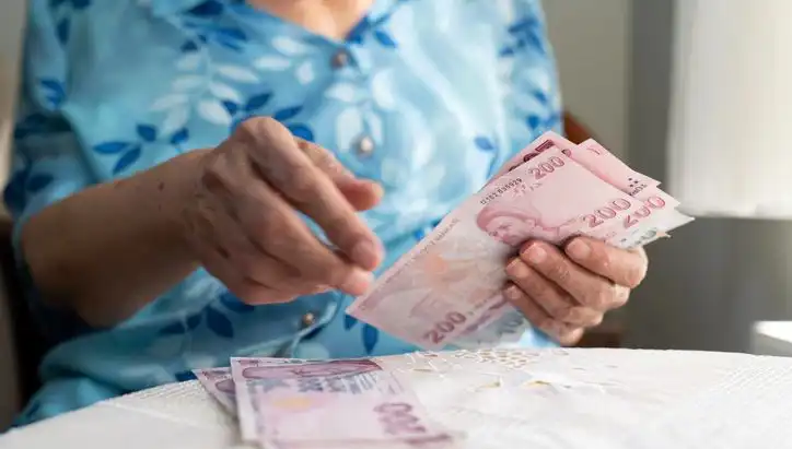 Emeklilere Yönelik Dolandırıcılık: Önlem Almanın Yolları