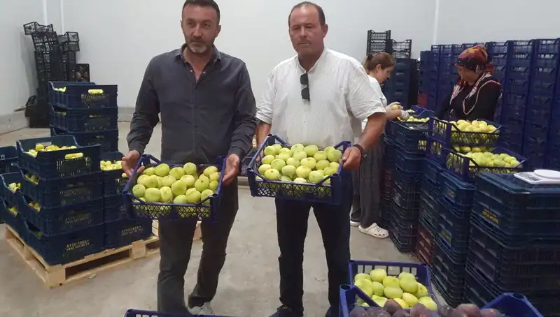 Mersinli Çiftçiler, Yüksek Fiyattan Satışla Zengin Oluyor